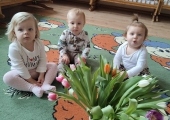 img-20250309-wa0008
