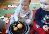 img-20250330-wa0012