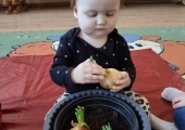 img-20250330-wa0015