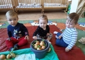img-20250330-wa0016