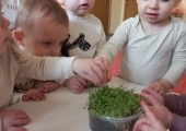 img-20250418-wa0017