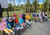 img-20250513-wa0005