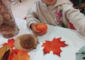 img-20250923-wa0020